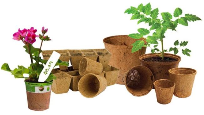 Horticultural Coconut Coir Products