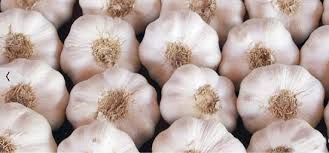 Fresh Garlic Clove Vegetables IndiaSuperMart 5 Pieces Per Pack 6oz