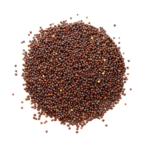 Real Taj Mustard Seeds Spices Prayosha Spices 