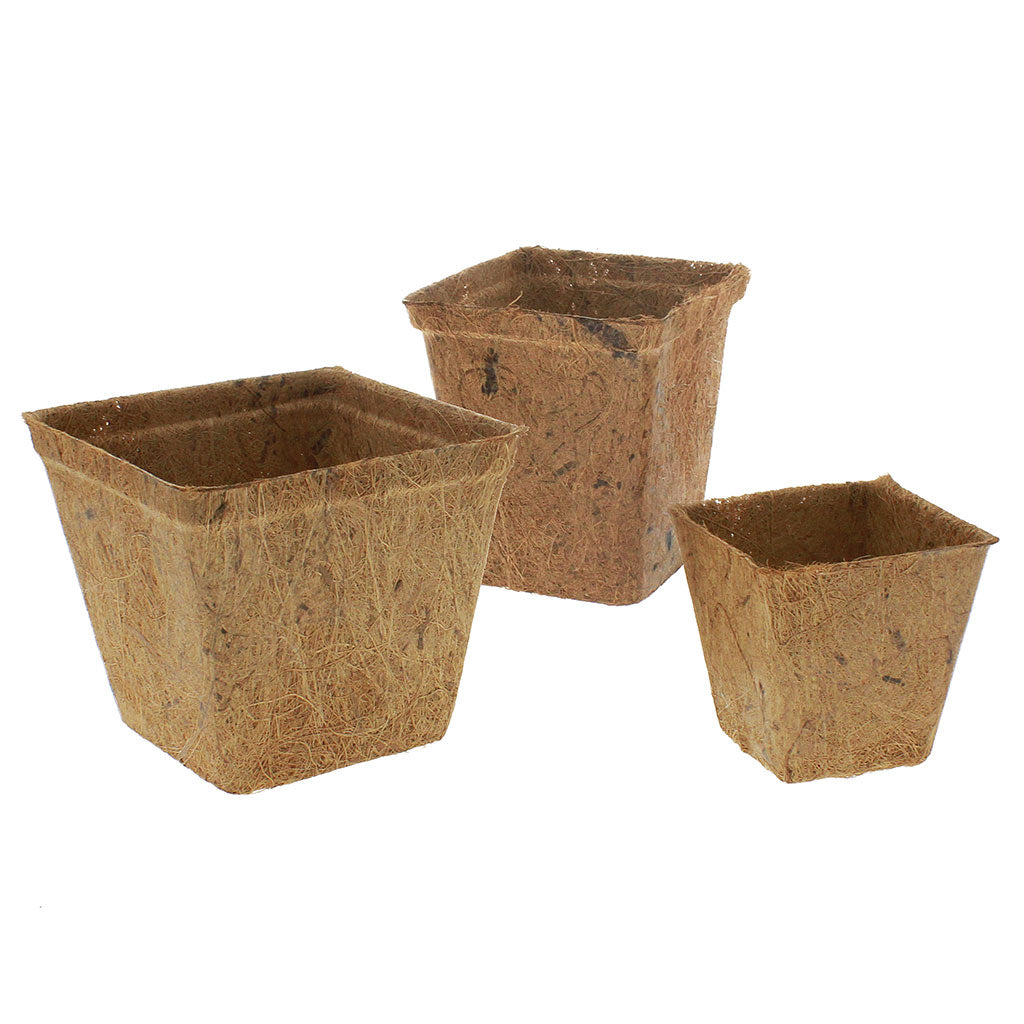Square Plantanble Pots coco coir NaturesAgroProducts 