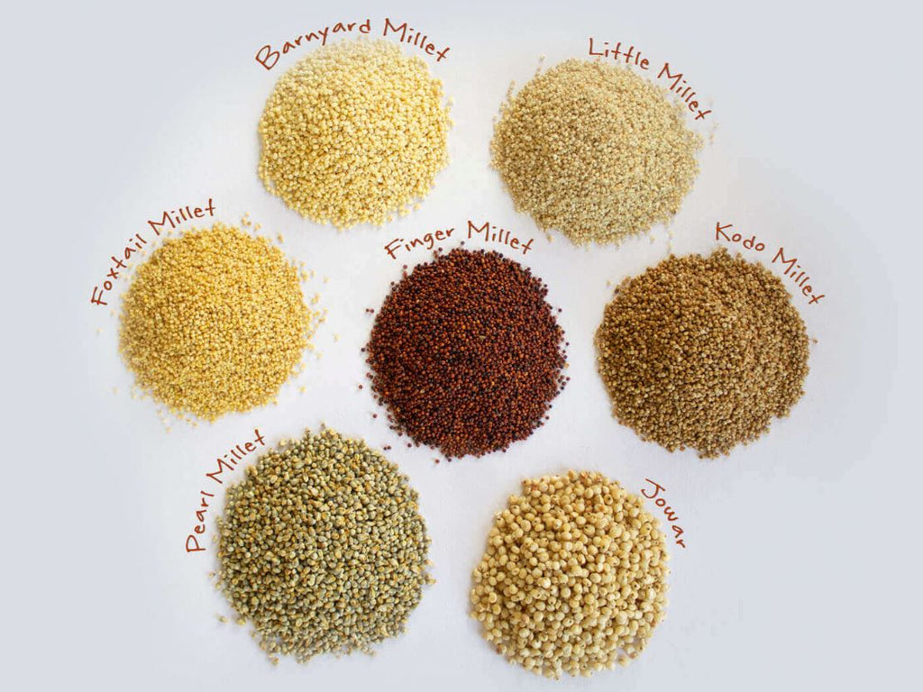 Different Types Of Millets