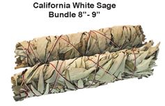 California White Sage Bundle Puja Divine Supplies 5 - 6 inches 