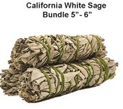 California White Sage Bundle Puja Divine Supplies 8 - 9 inches 