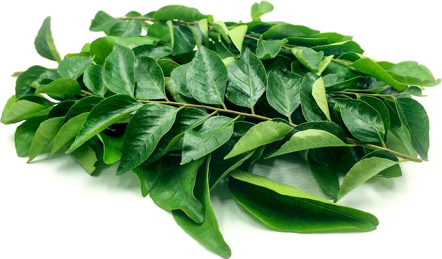 Curry Leaves Vegetables IndiaSuperMart Per Pack 