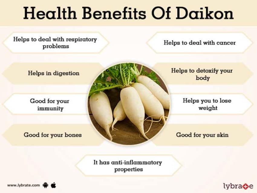 Daikon (White Radish) w/o Leaves Vegetables IndiaSuperMart 