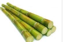 Fresh Green Sugar Cane Stick Vegetables India Super Mart 1 LB 