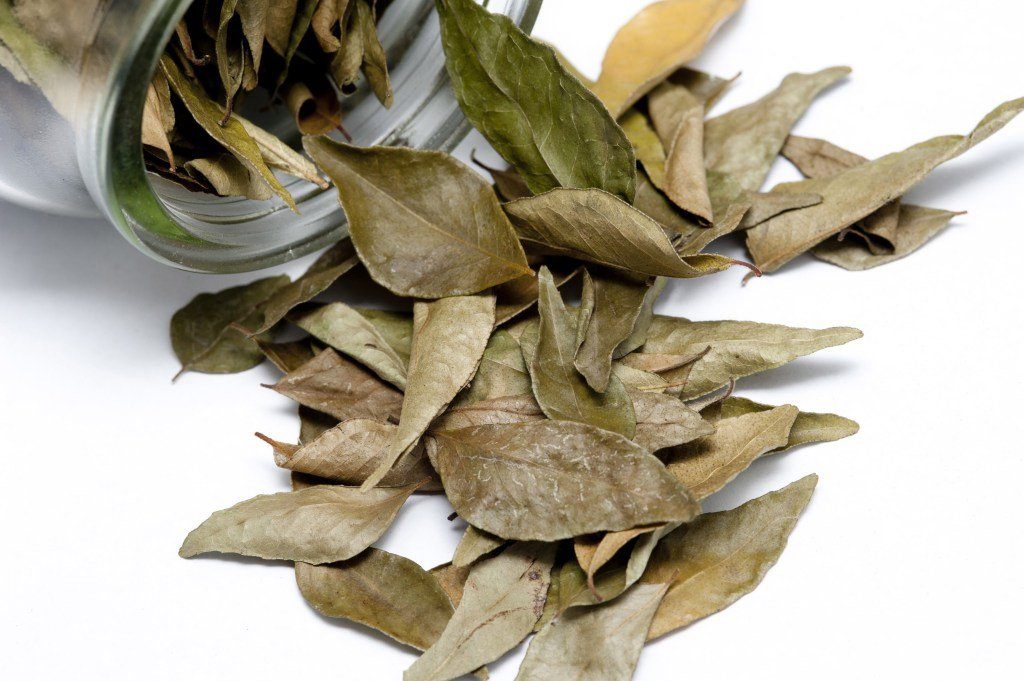 Laxmi Bay Leaves Spice House Of Spices 