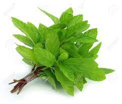 Fresh Mint Leaves  With all the traditional flavors, ingredients, and  foods they love.