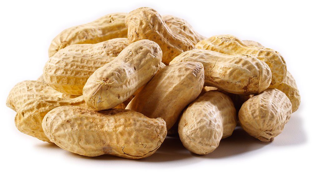 Raw Peanuts Vegetables DAAKS In Shell PER LB 