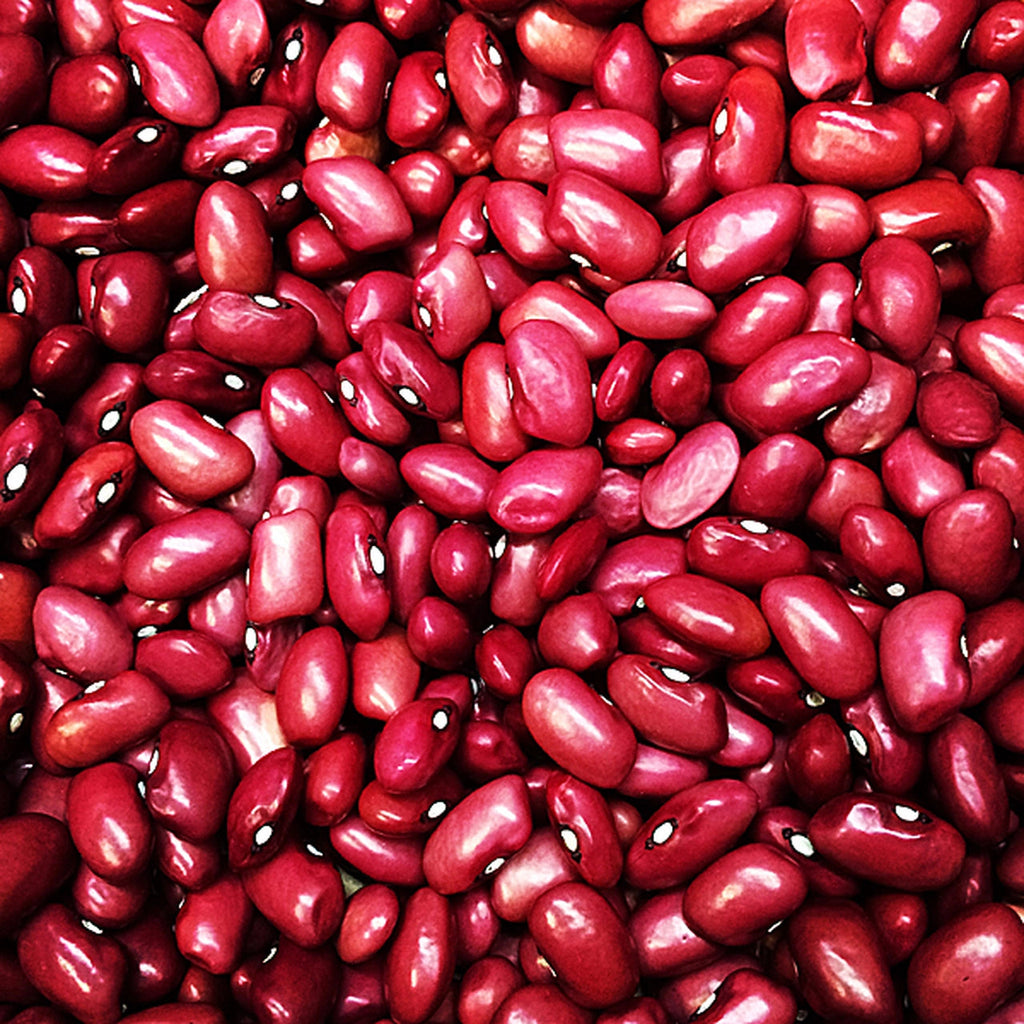 Sri Sairam Foods Dark Red Kidney Beans Sri Sairam Foods 