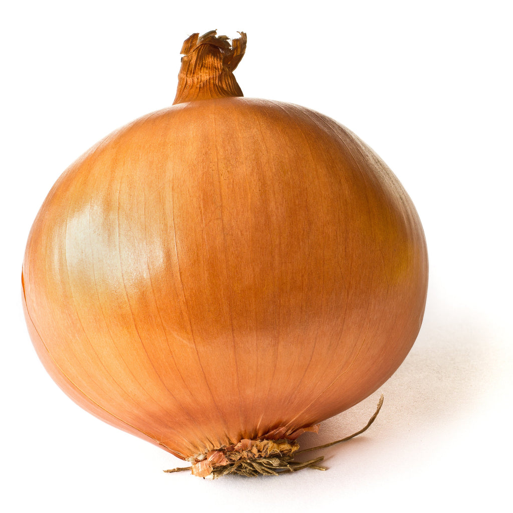 Yellow or Brown Onion Vegetables IndiaSuperMart PER LB 